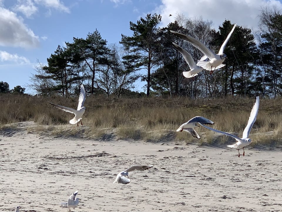 Beach
