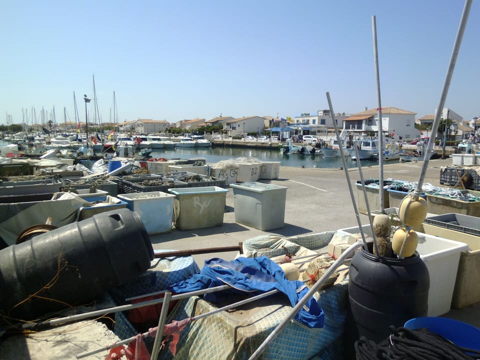 Marina