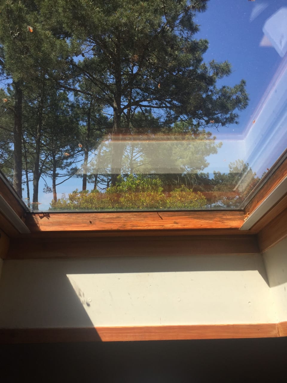 View from property