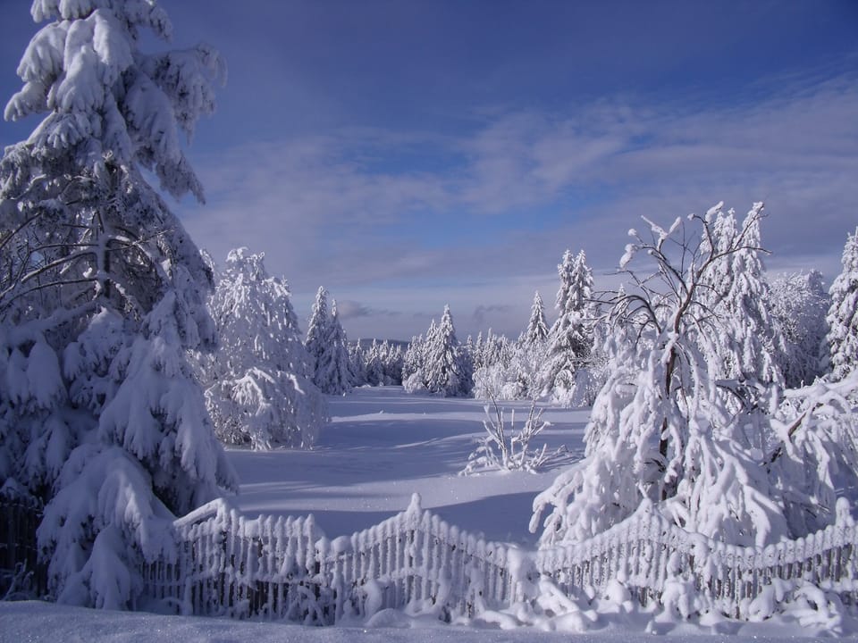 Snow and ski sports