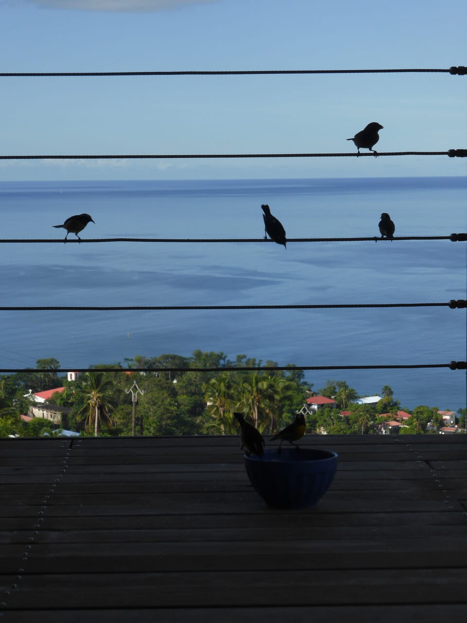 View from property