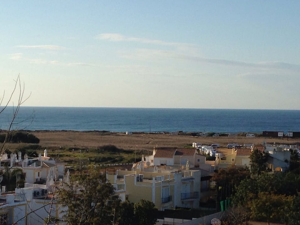 Beach/ocean view