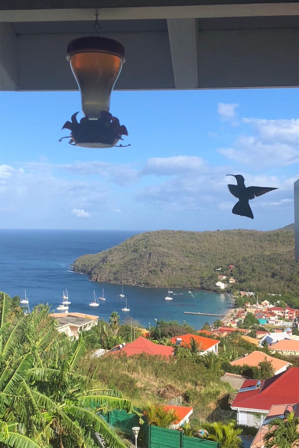 View from property