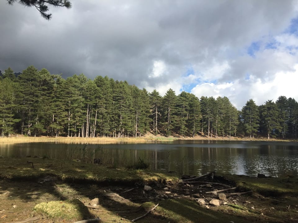 Lake