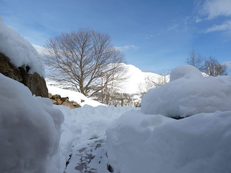Snow and ski sports
