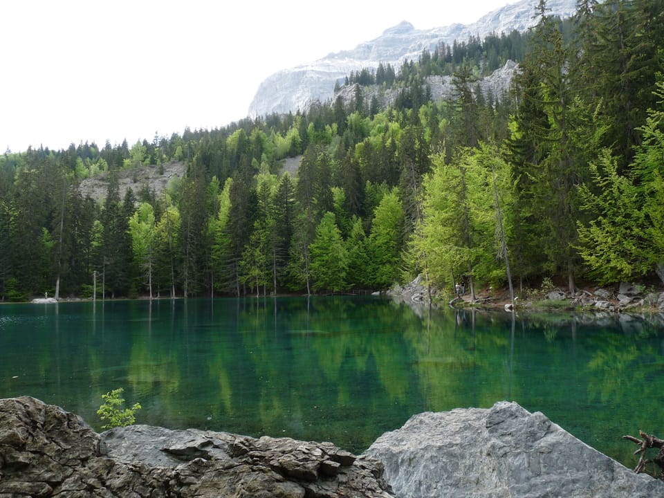 Lake