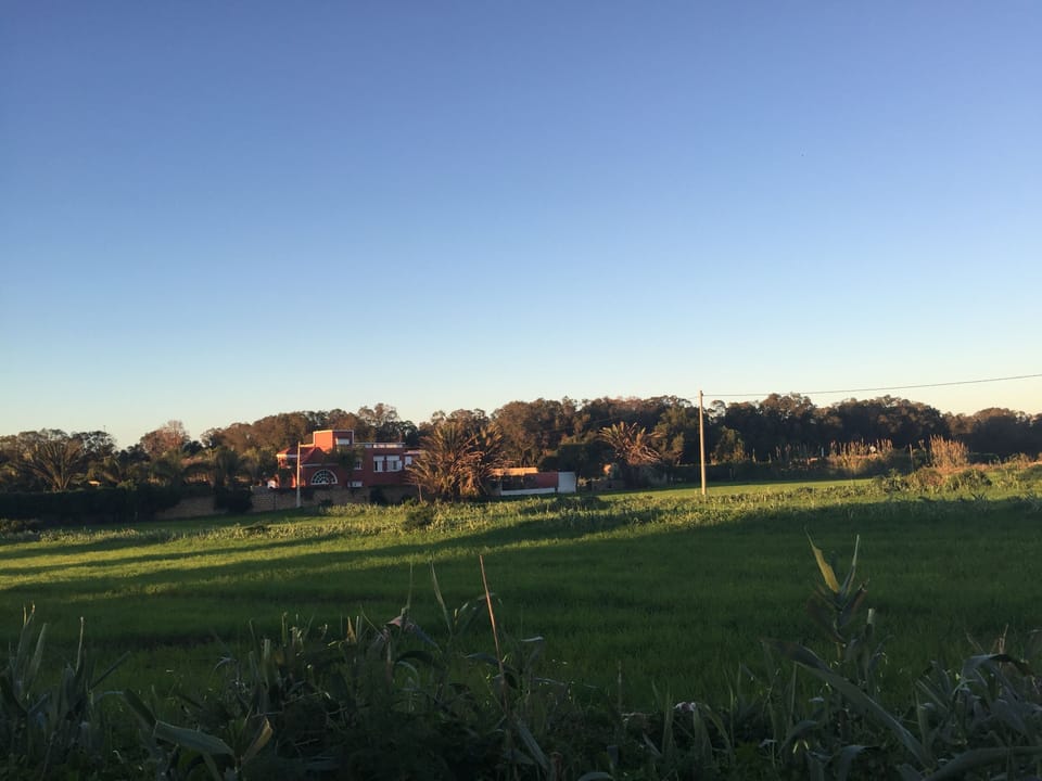 Villa surrounded by fields. No vis-à-vis.