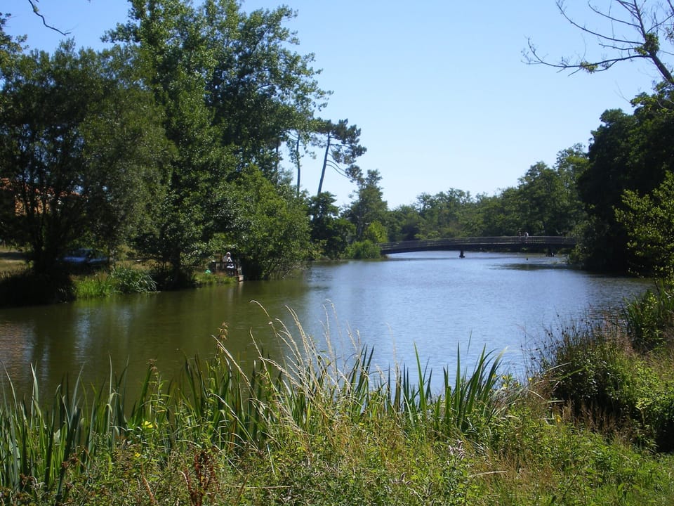 Lake