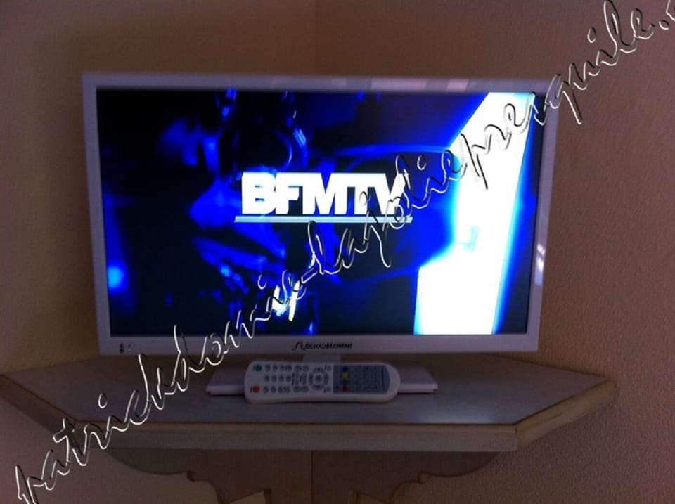 Television