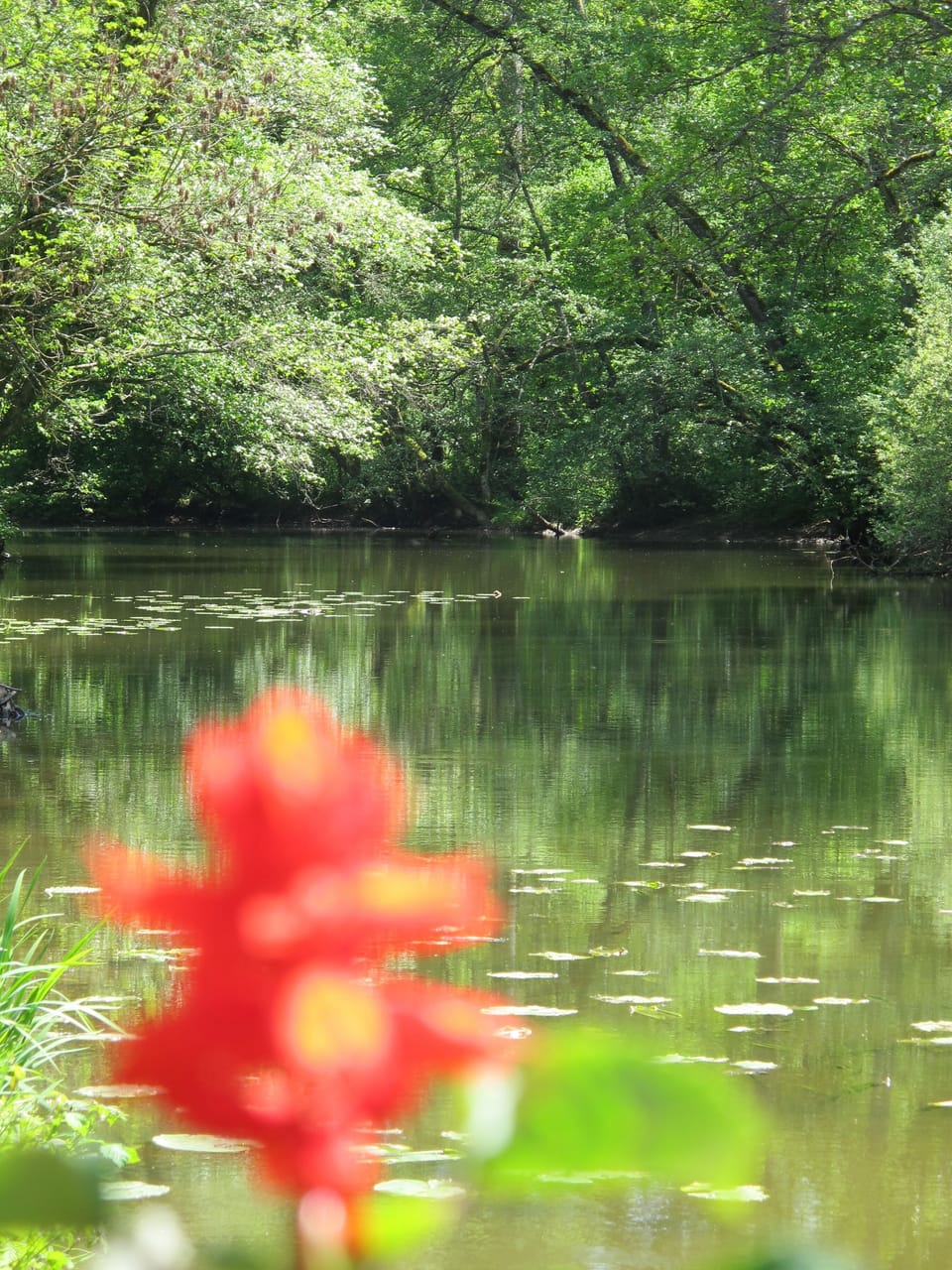 Lake