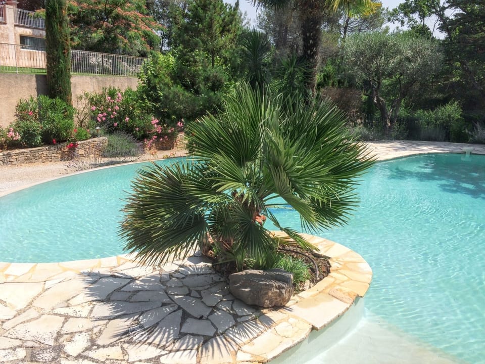 Swimming pool view