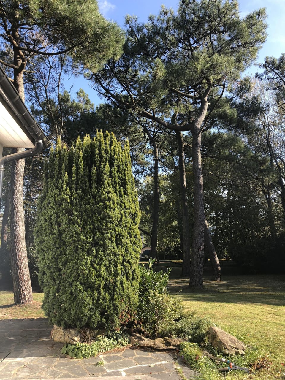 Property grounds