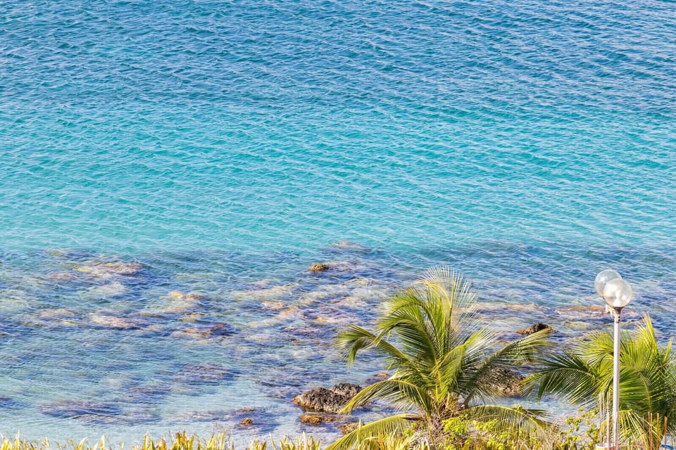 The apartment is located a few minutes walk from the beautiful beach of Anse Mitan, a beach with crystal clear waters.
