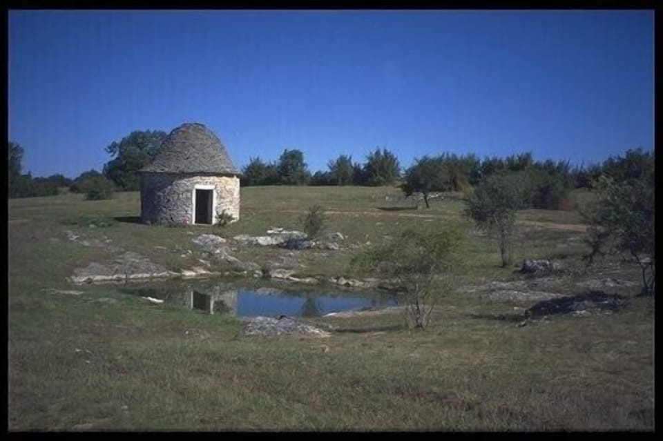 A shepherd housing