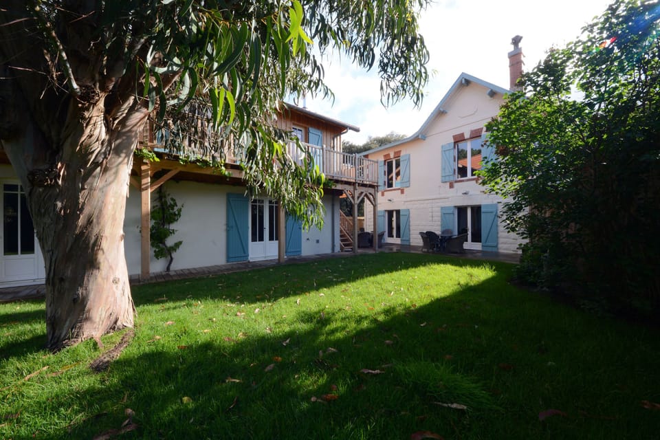 Garden view from annexe and main house