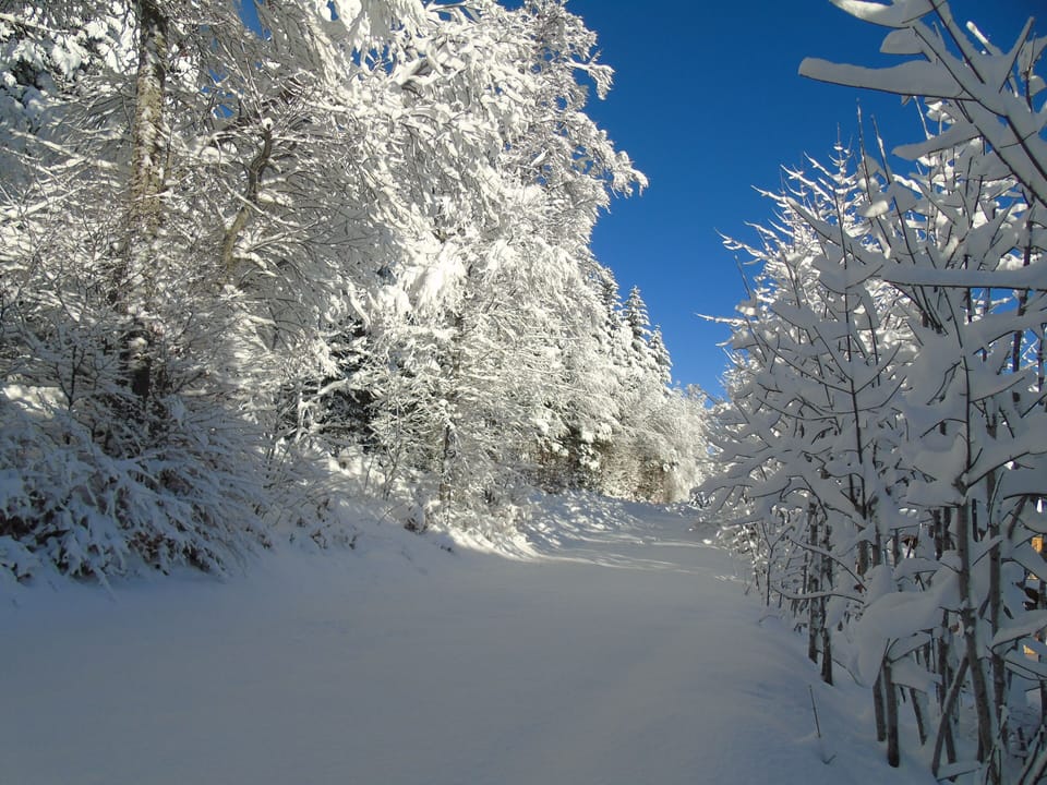 Snow and ski sports