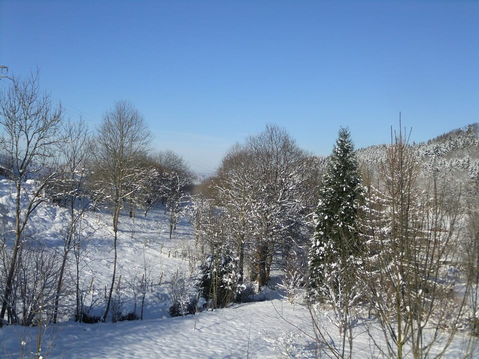 West view