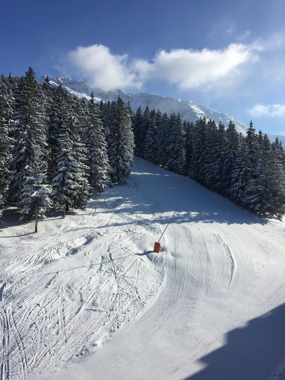 Snow and ski sports