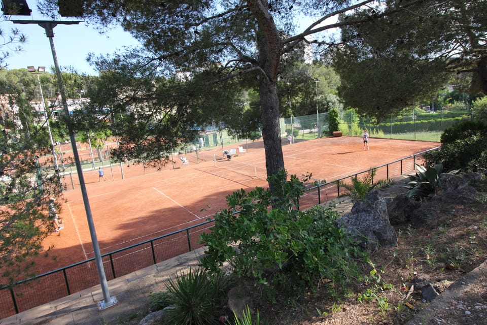 Sport court