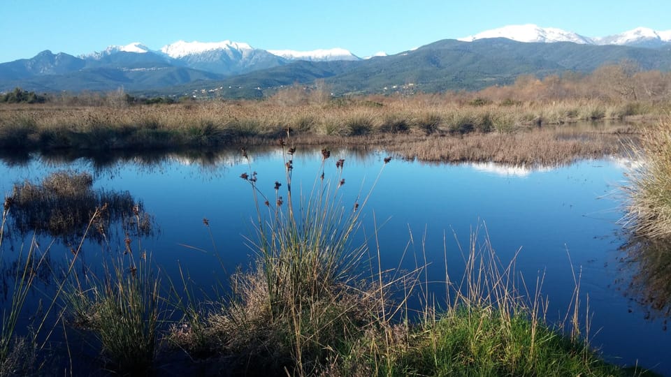 Lake