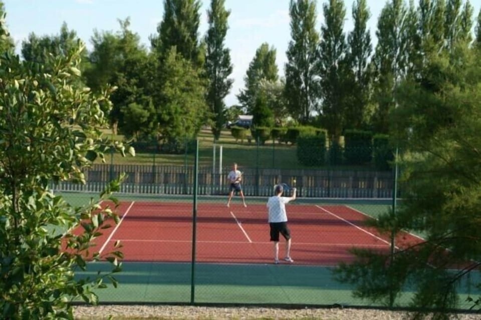 Sport court