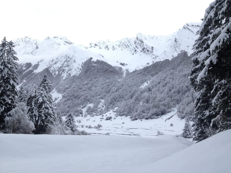Snow and ski sports
