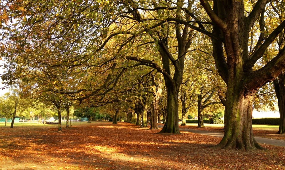 Lammas park, local park