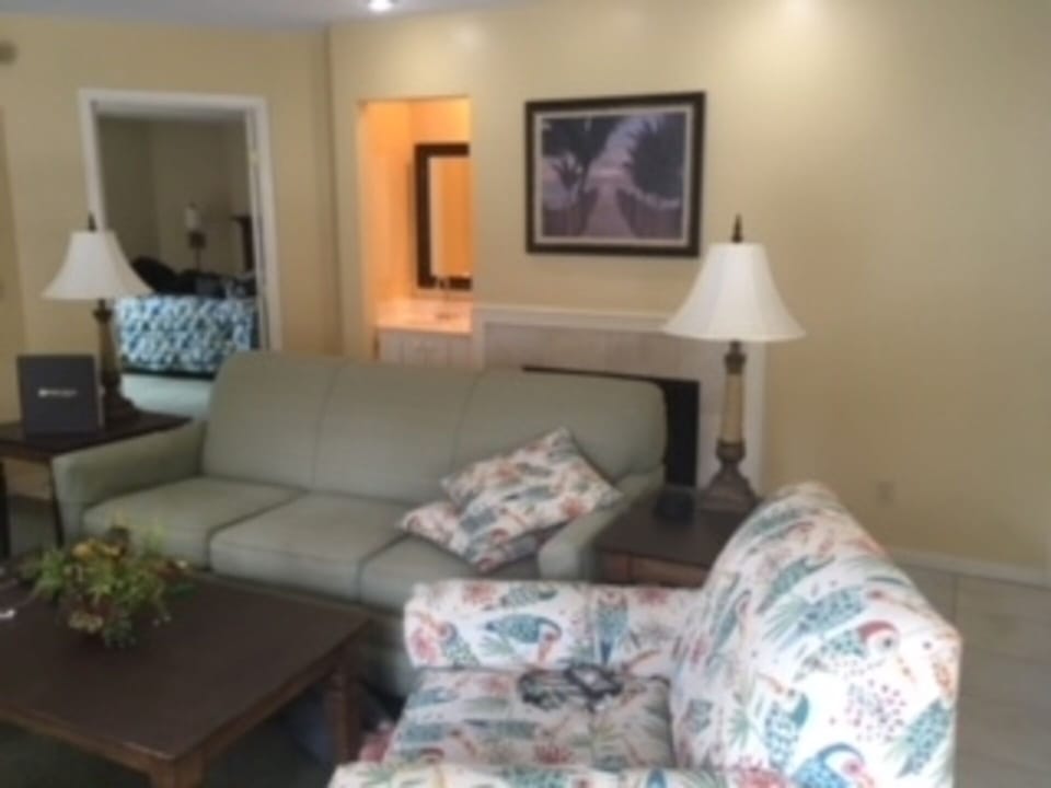 Spacious living area with fireplace/TV/pull out couch!