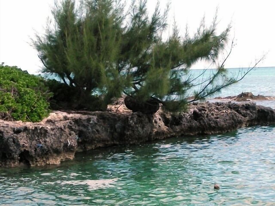 Water view by community pool 2