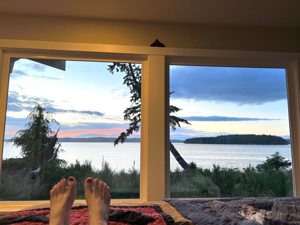 The view from the master bedroom bed!
+22 skylights - The stargazing is amazing!
