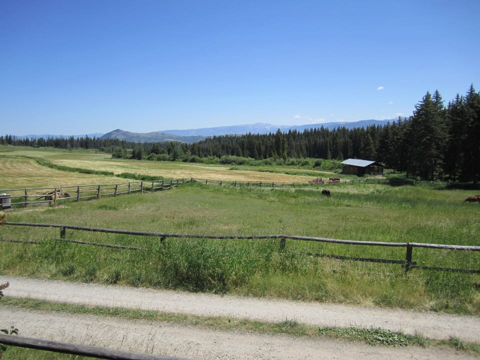 Ranch fields and pasture