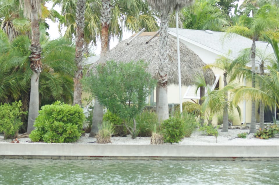 Bbq your meal and sit under a secluded tiki to enjoy your meal....