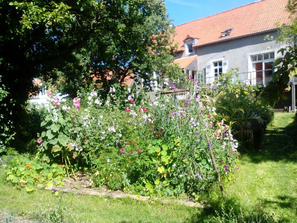 Garden cultivated without pesticides