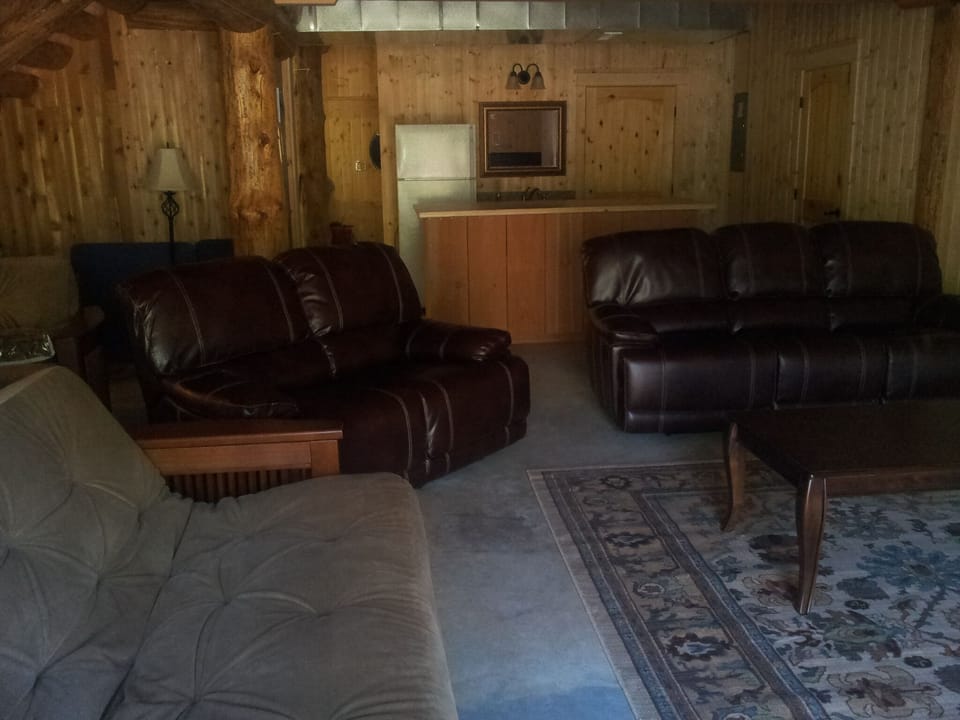 Daylight basement seating / entertainment area
