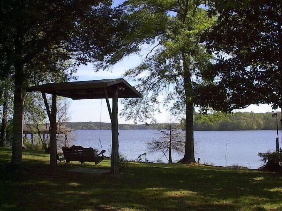 ENJOY THE SWING AN VIEW
