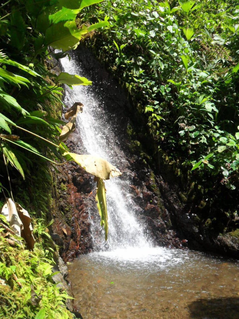 Waterfall at Rainmaker Reserve.....30 minutes away
30 minutes from Manuel Antoni