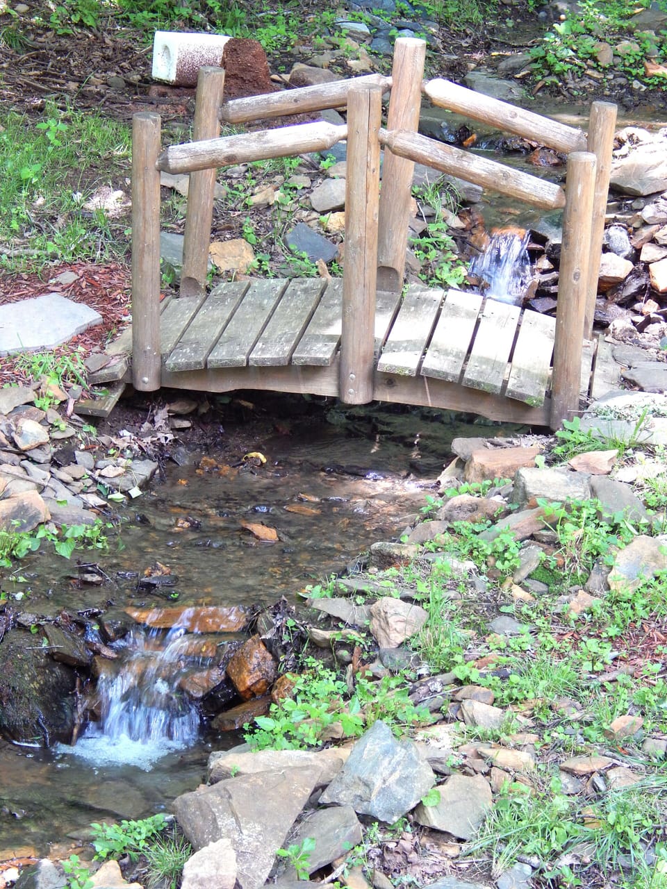 Small creek along driveway.