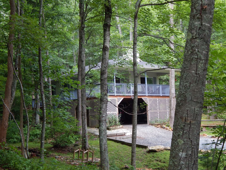 View from across the creek. Our property is a certified wildlife habitat.