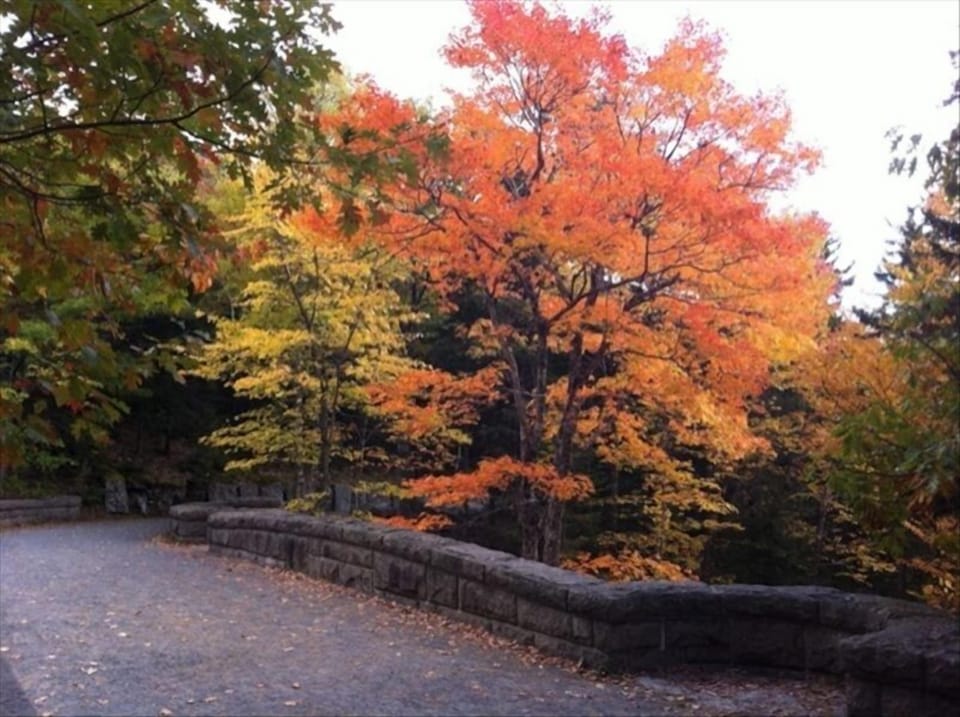 Carriage paths in Acadia, 70 miles of biking and countless hiking opportunities!