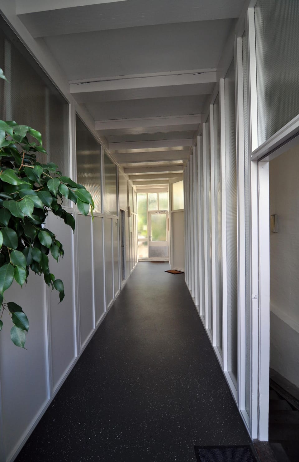 public corridor, at the end the entrance of the patio and the apartment (right)