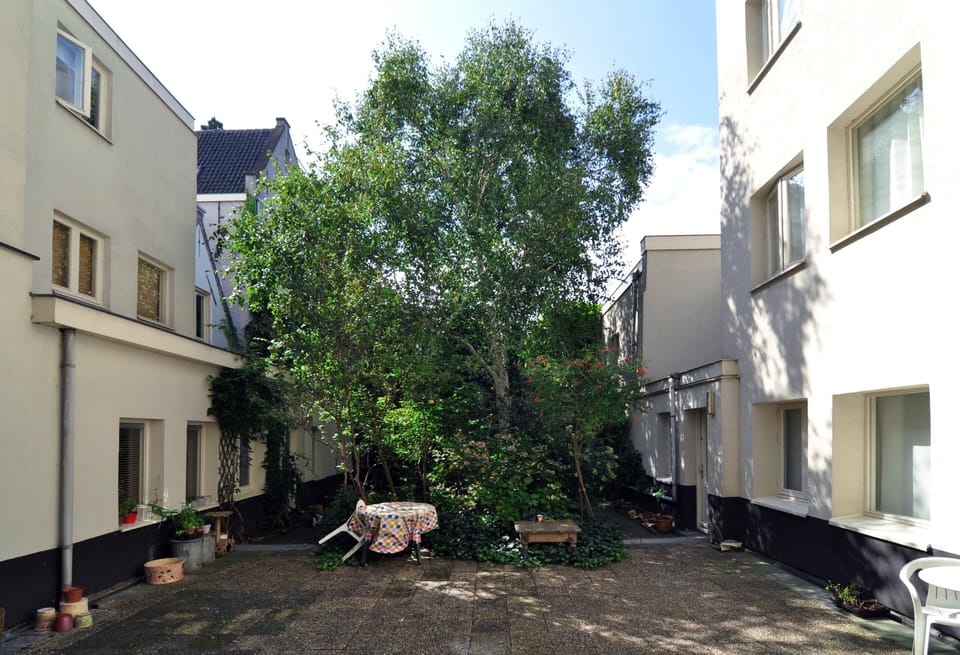 The patio