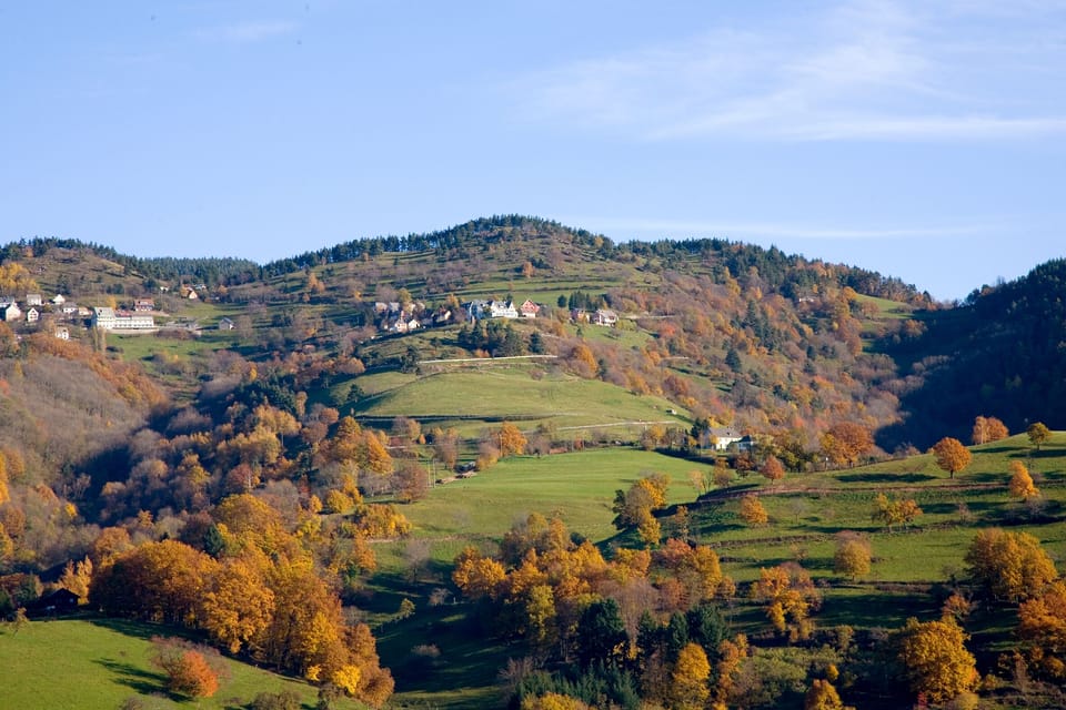 Landscape