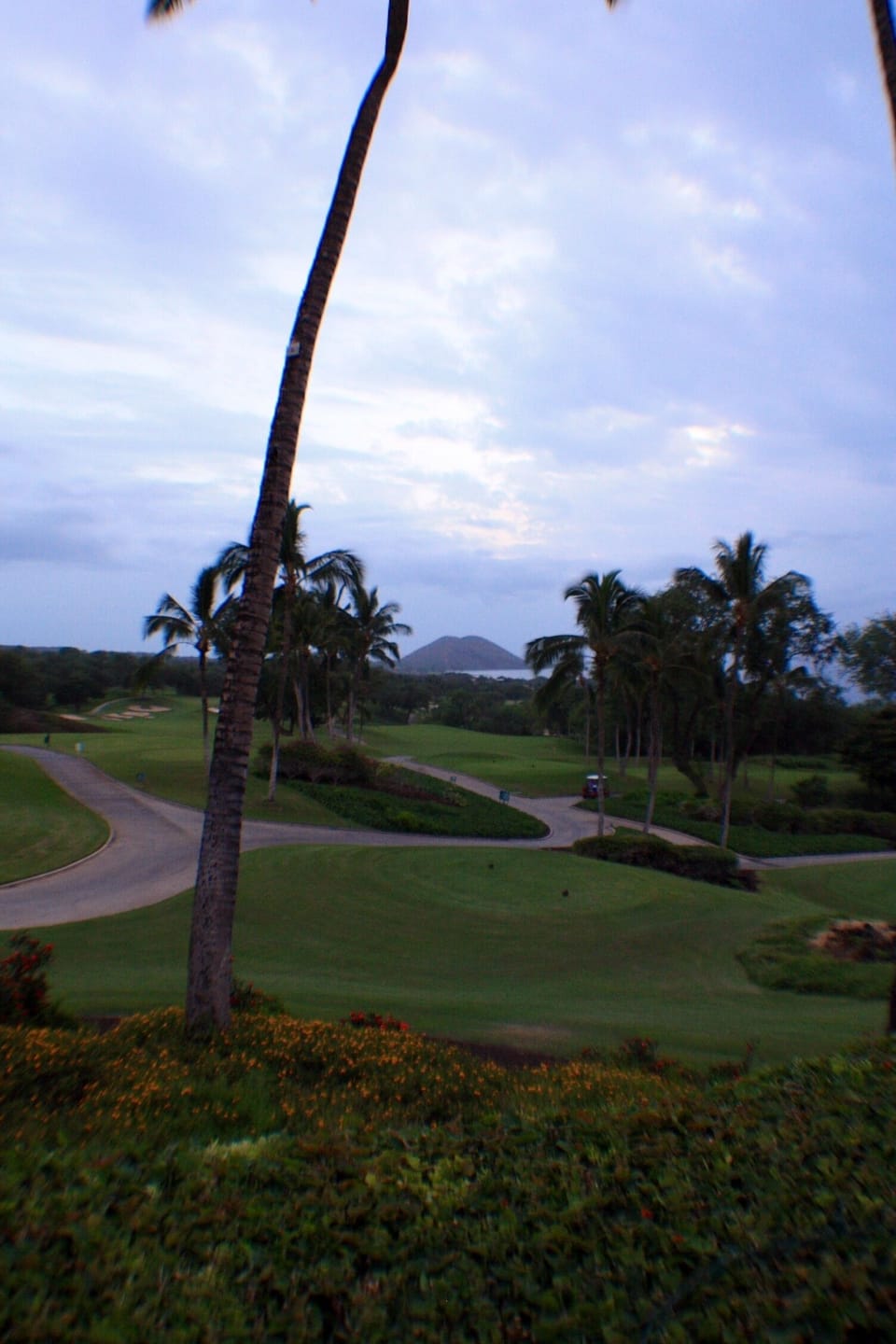 Champion ship golf courses offer the best views while winning a game.