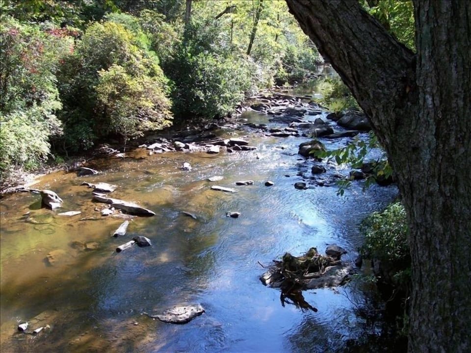 Beautiful Brasstown Creek