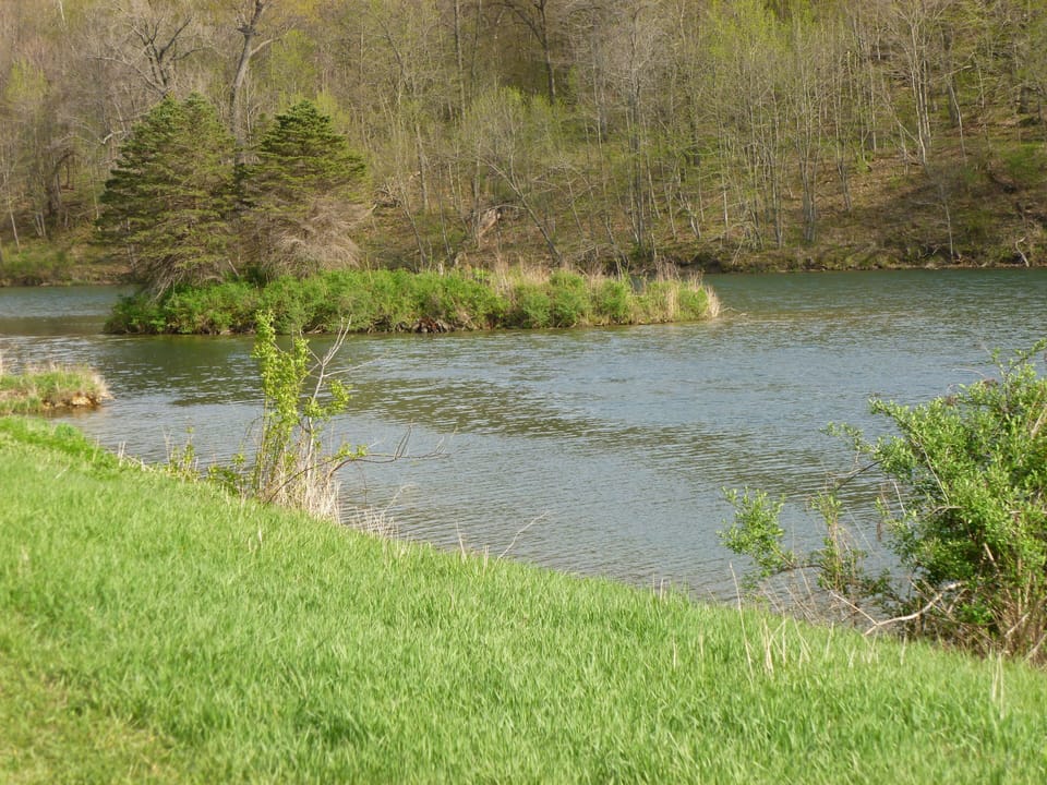 The island in the lake