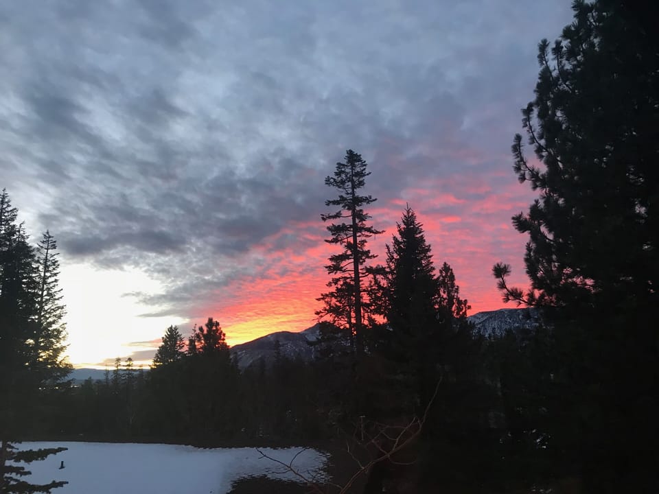 Sunrise - looking out from our living room.