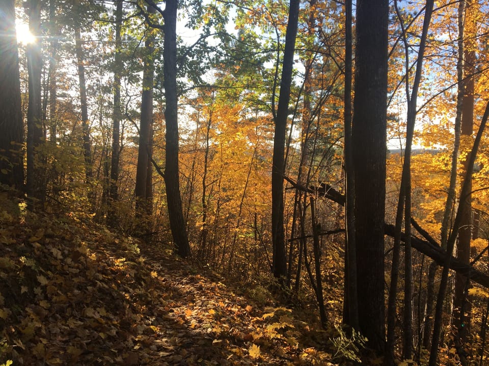 CAMBA Trail Fall Colors - 5 minutes to Hatchery Creek Trail Head