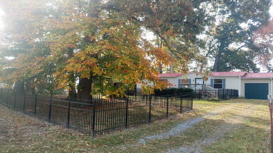 fall pic