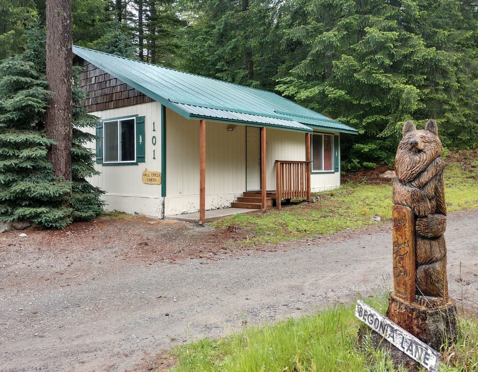 Front of Hall Creek Cabin w/cement walk, new roof line & porch