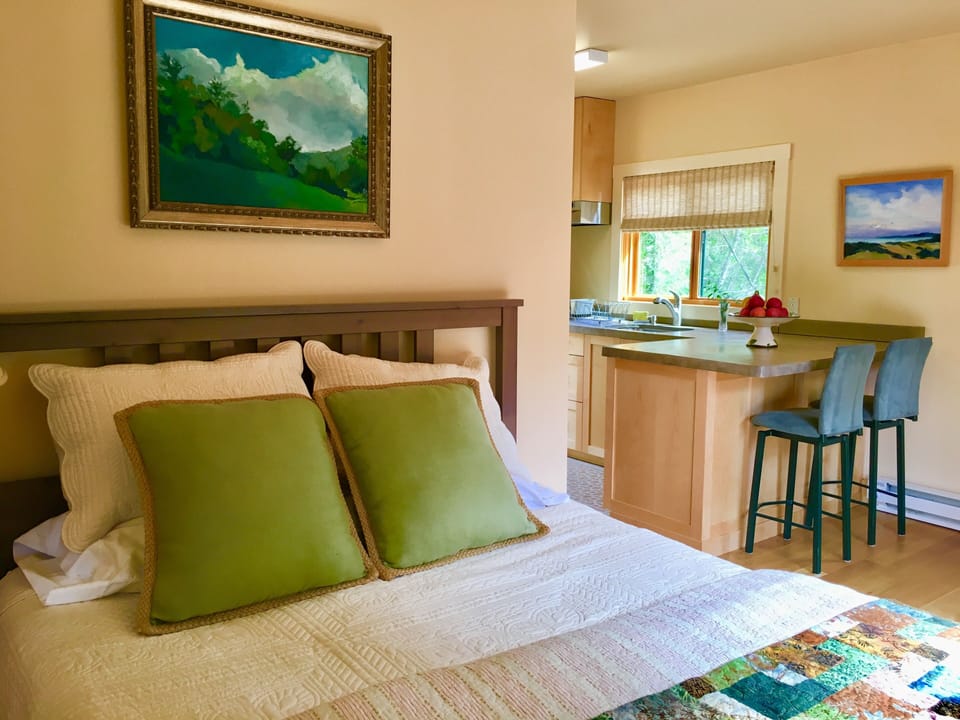 Sunny, cozy mountain romantic studio.  